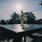 Park And Sunny Terrace