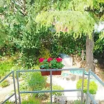 Park And Sunny Terrace