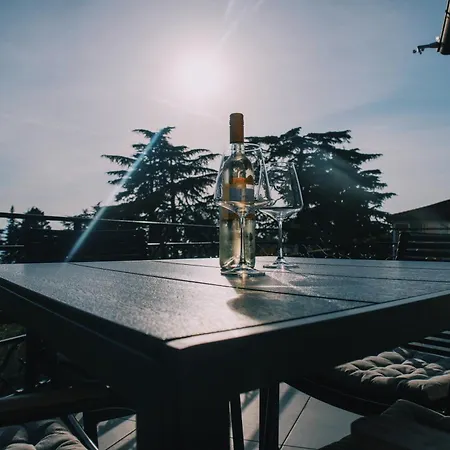 Park And Sunny Terrace