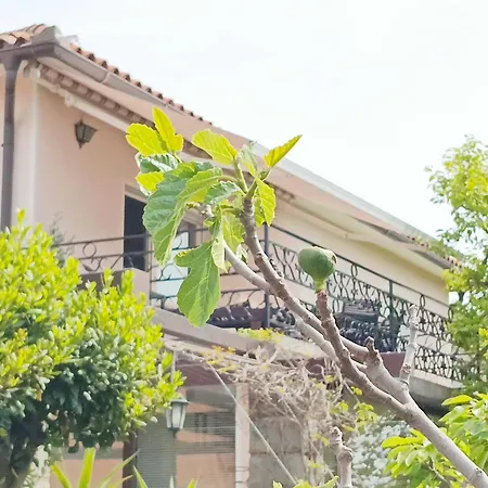 Park And Sunny Terrace Apartman *