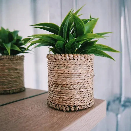 Park And Sunny Terrace Apartman