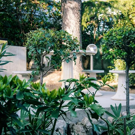 Park And Sunny Terrace Apartment