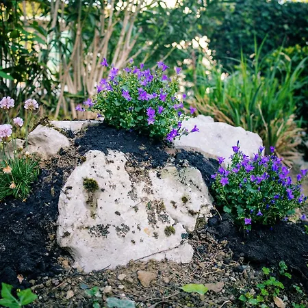 Apartman Park And Sunny Terrace