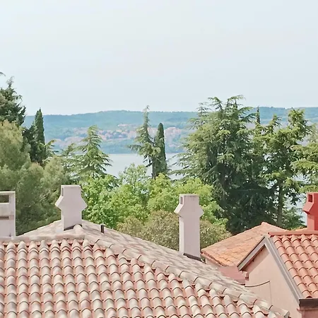 Park And Sunny Terrace