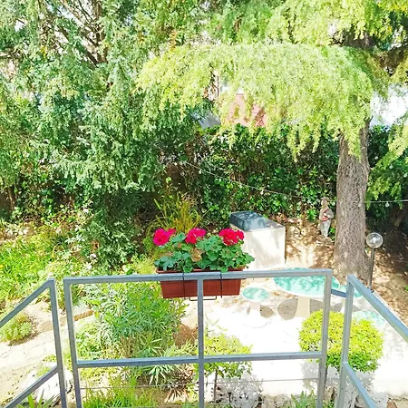 Park And Sunny Terrace