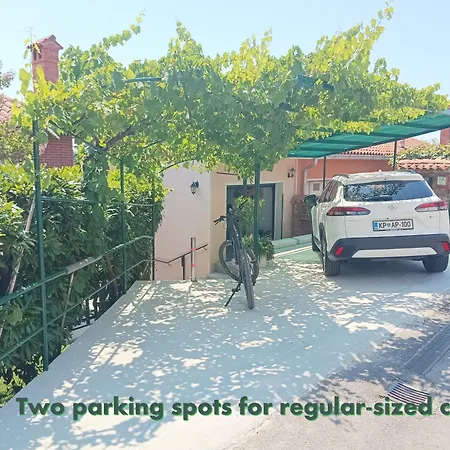 Park And Sunny Terrace Appartamento