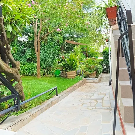Park And Sunny Terrace