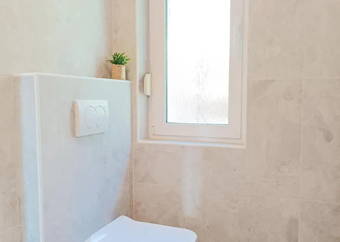 Park And Sunny Terrace