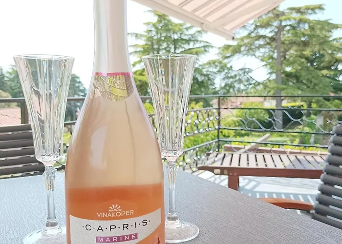 Park And Sunny Terrace