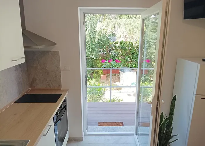 Park And Sunny Terrace