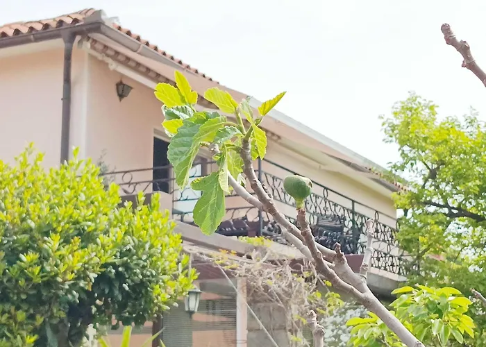 Park And Sunny Terrace Apartman *