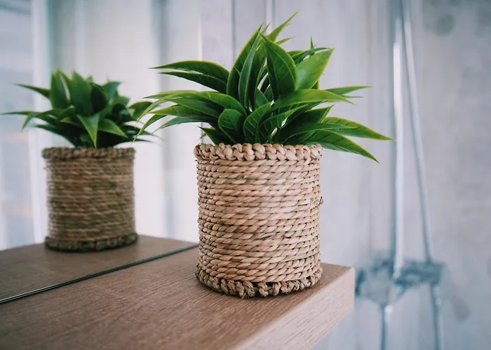 Park And Sunny Terrace Appartamento