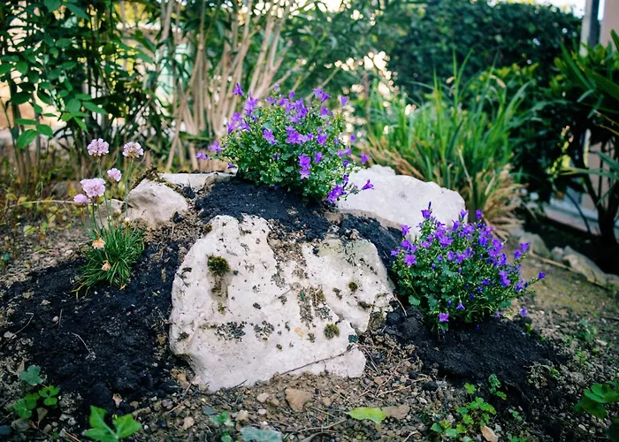 Appartamento Park And Sunny Terrace