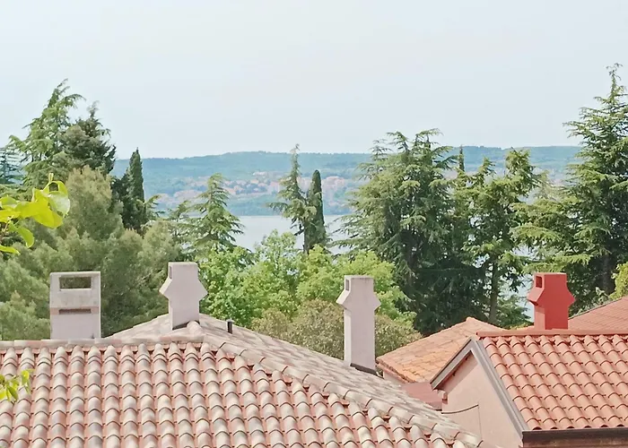 Park And Sunny Terrace