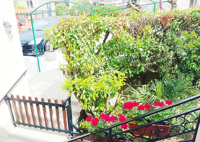 Park And Sunny Terrace Ancarano