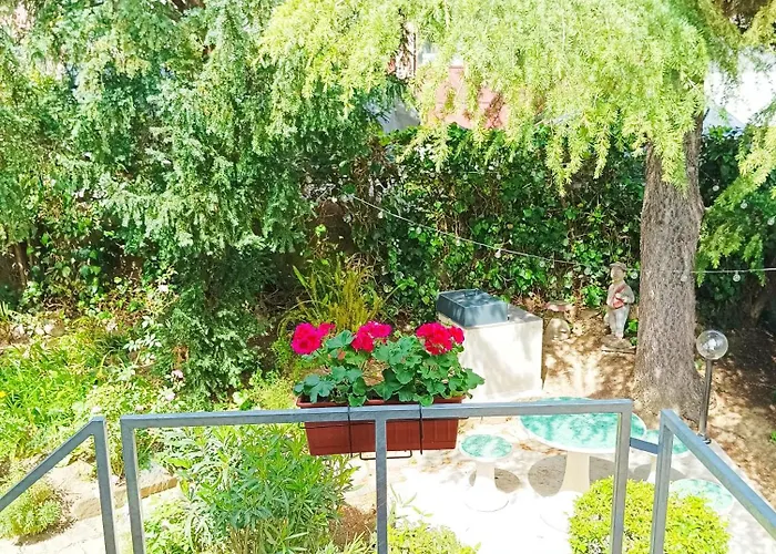 Park And Sunny Terrace